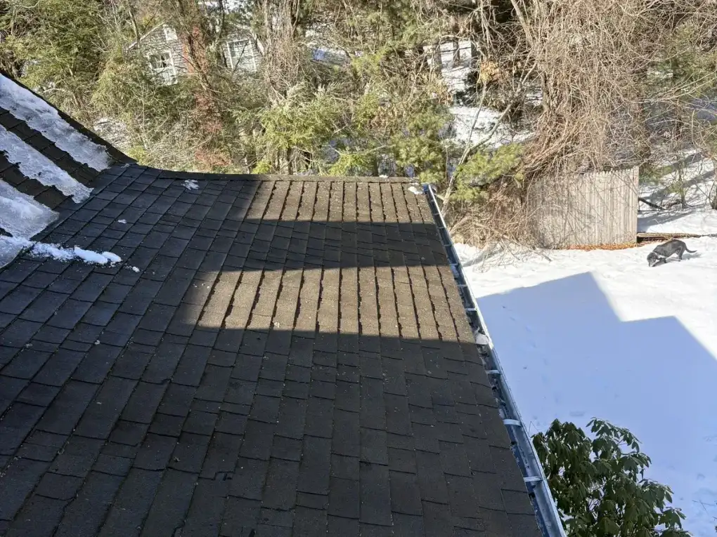 Clean roof shingles fully visible after snow and ice dam removal service