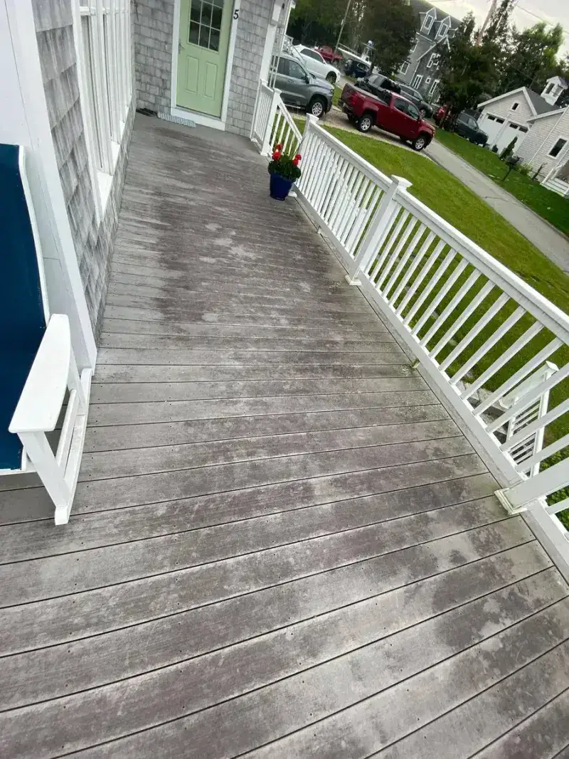 Deck with mold and algae before treatment