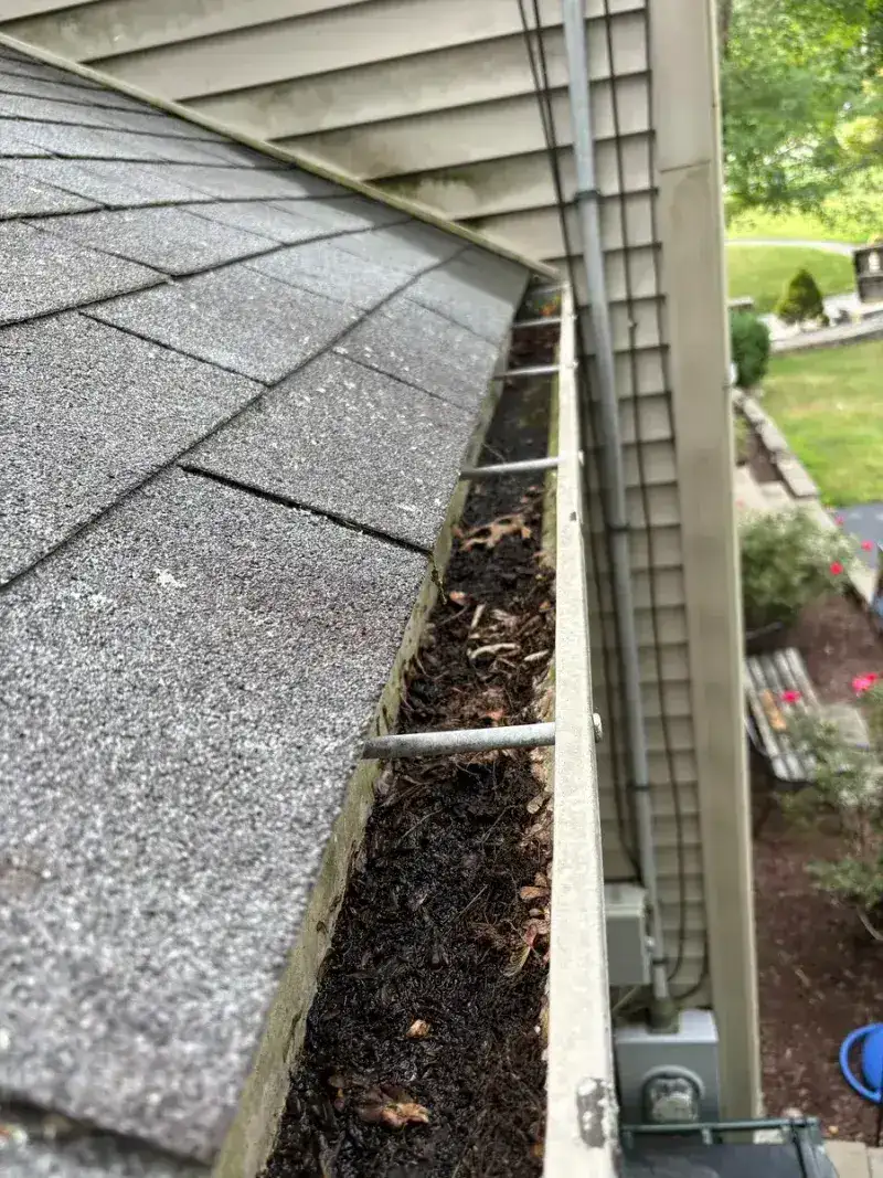 Clogged gutter before cleaning
