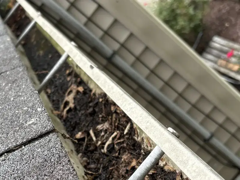 Gutters before cleaning with debris and buildup