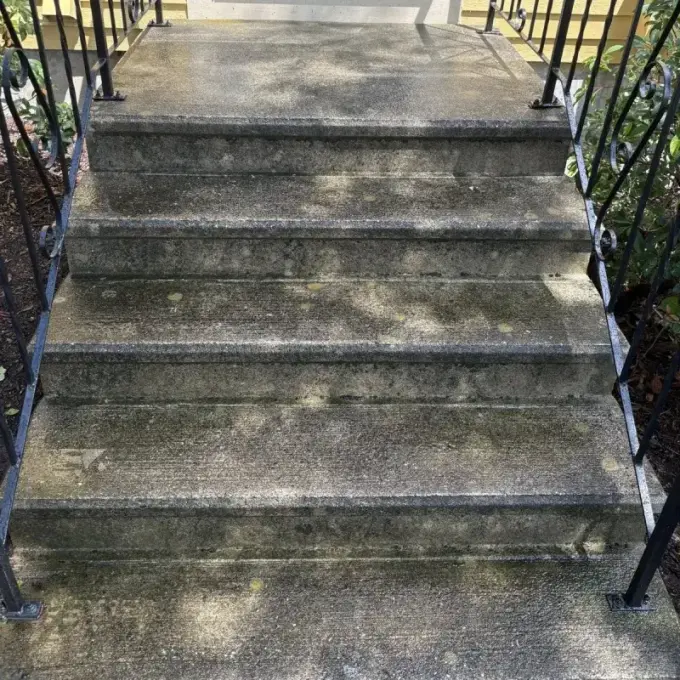 Concrete driveway before cleaning