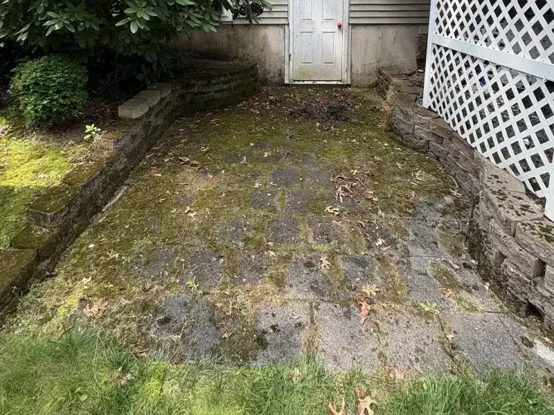 Weathered patio before professional cleaning