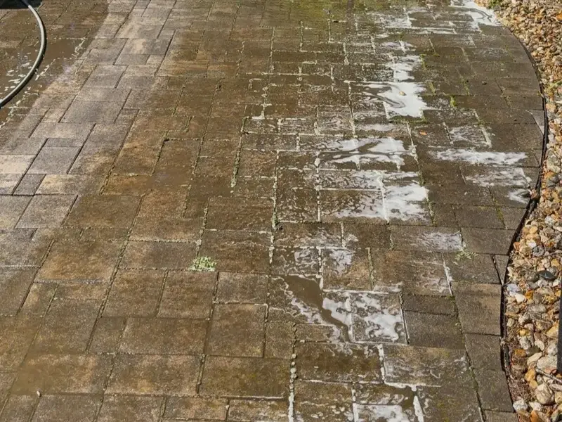Paver patio with moss and stains before cleaning