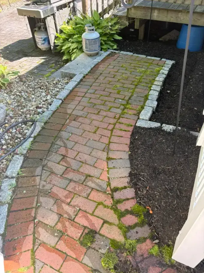 Stone patio before cleaning