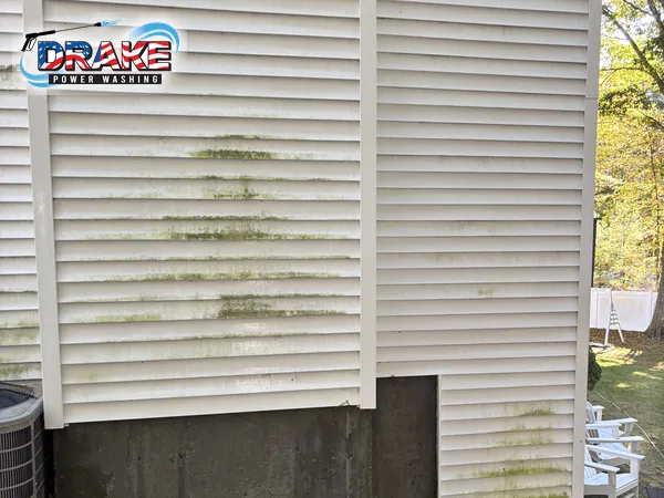 Green organic buildup on vinyl siding and a projecting wall before house washing in Franklin MA