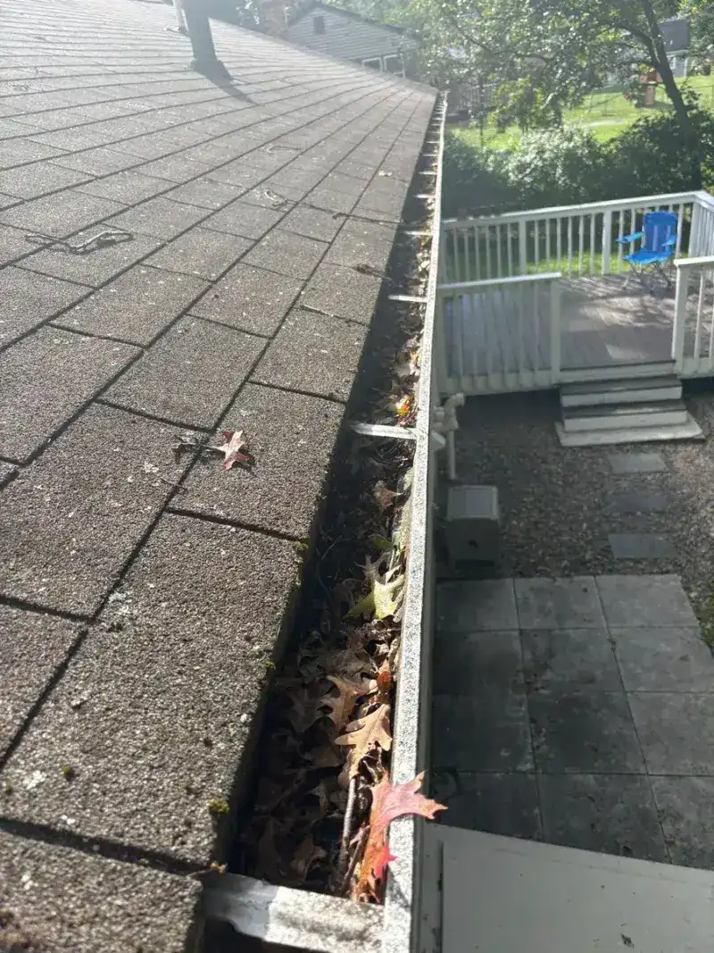 Roof after soft wash cleaning