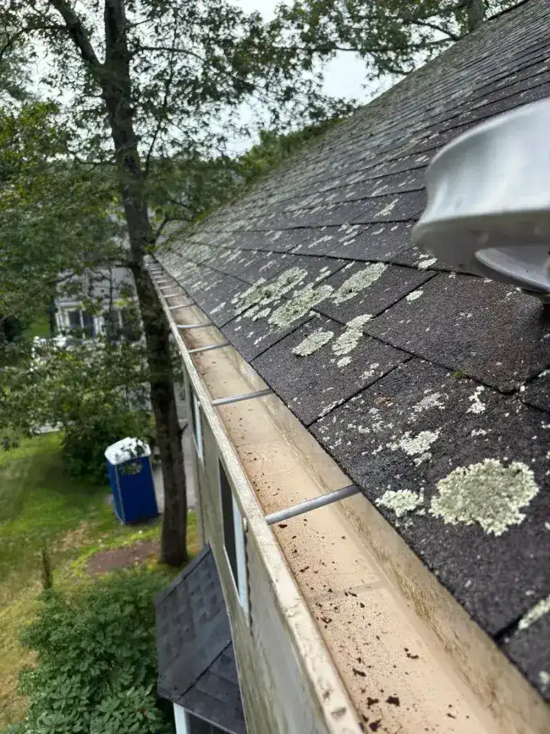 Roof before cleaning with moss