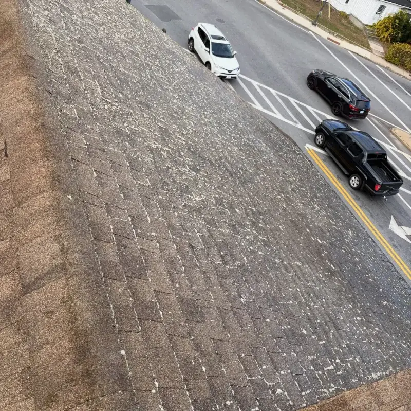Clean roof after soft wash - moss completely removed