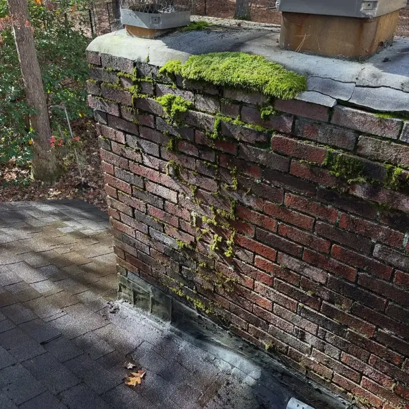 Brick chimney heavily covered with green moss